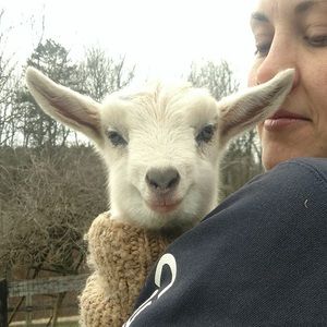 Meet your Posher, Leah